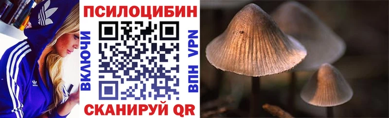 закладка  Среднеколымск  Псилоцибиновые грибы GOLDEN TEACHER 